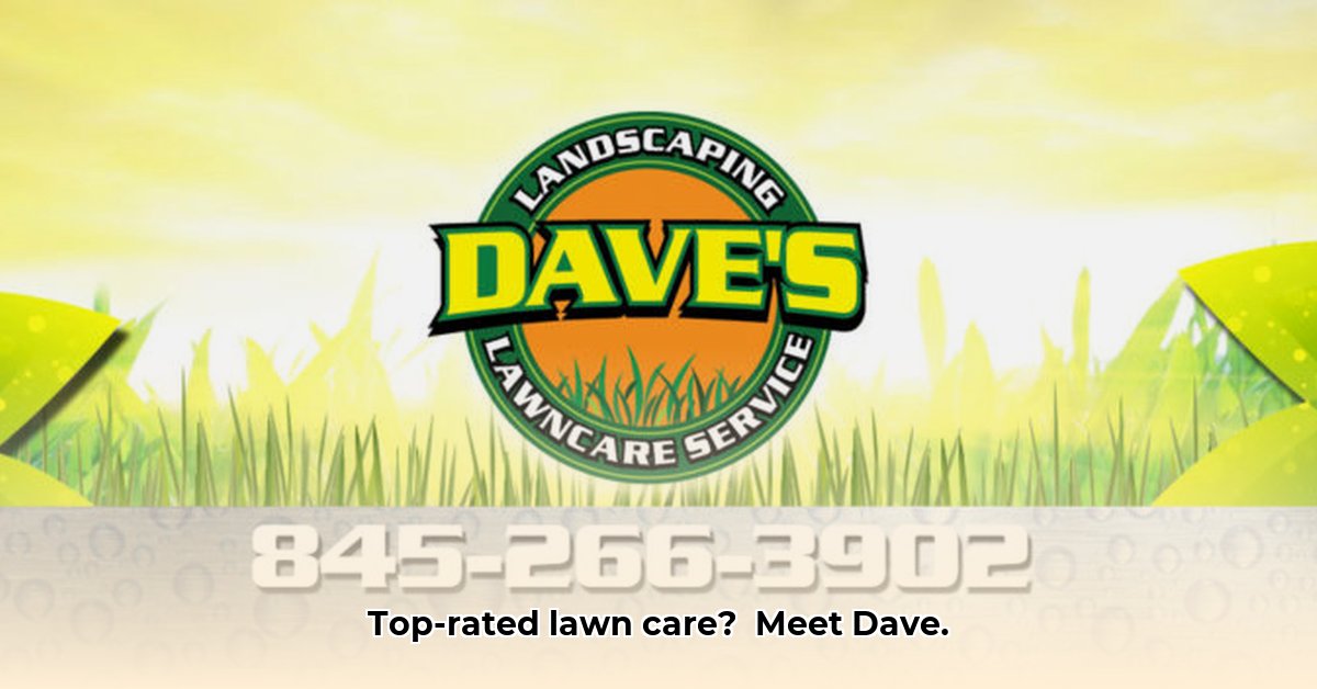 dave-s-lawn-care